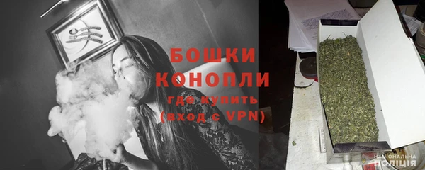 дживик Заводоуковск