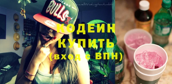 дживик Заводоуковск