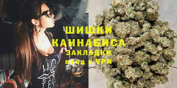 дживик Заводоуковск