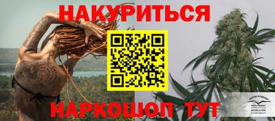сатива Аргун