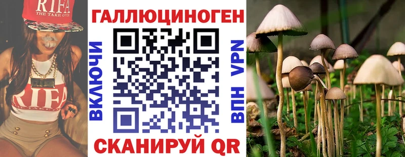Псилоцибиновые грибы GOLDEN TEACHER  Волжский 