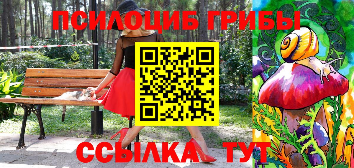 Галлюциногенные грибы GOLDEN TEACHER  Псилоцибиновые грибы мицелий  Волжский 