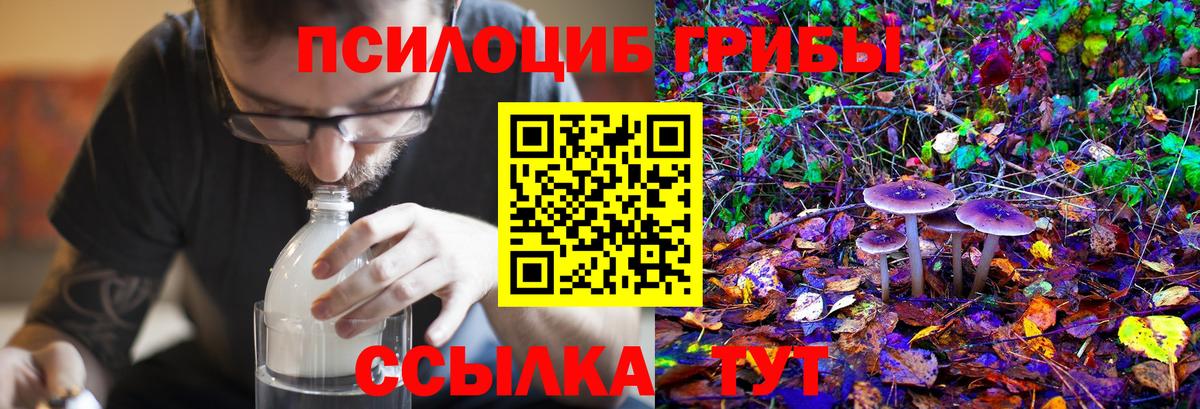 Галлюциногенные грибы мицелий Волжский