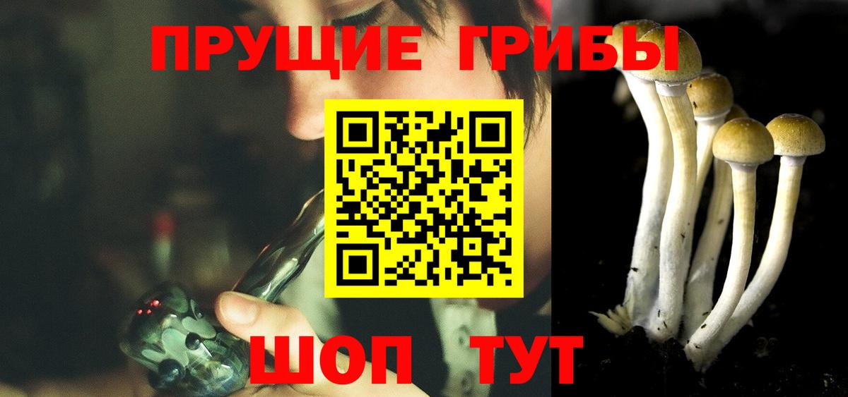 Псилоцибиновые грибы Psilocybine cubensis  наркота  Вход с VPN  Волжский  Псилоцибиновые грибы мицелий 